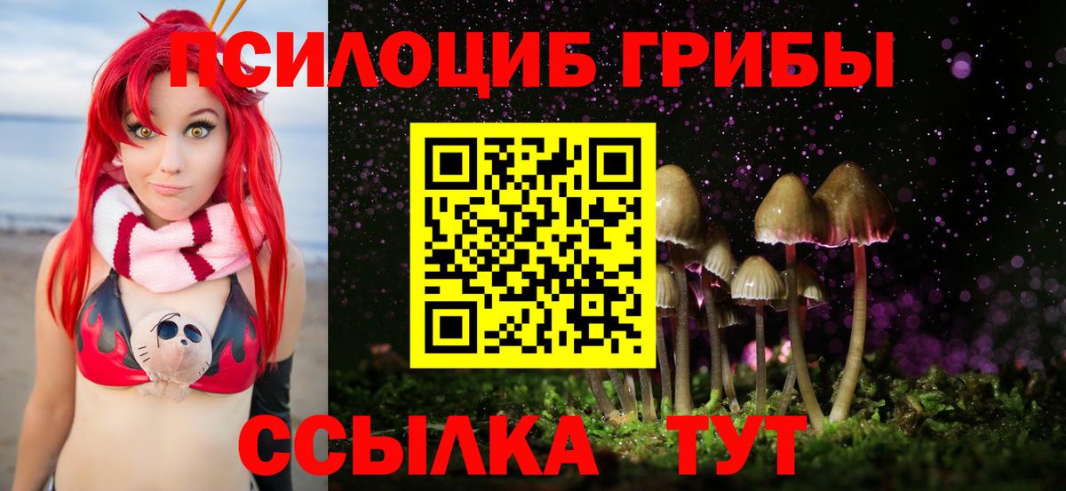 Псилоцибиновые грибы мухоморы Новодвинск