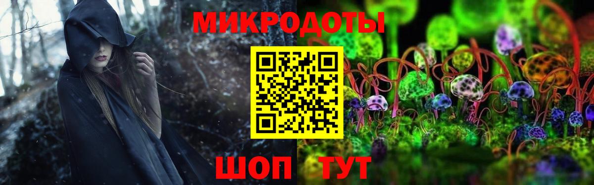 Псилоцибиновые грибы Psilocybine cubensis  Вход с VPN  Новодвинск 